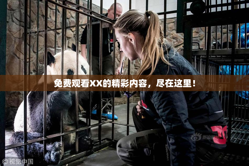 免费观看XX的精彩内容，尽在这里！