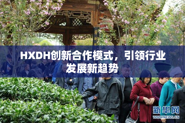 HXDH创新合作模式，引领行业发展新趋势