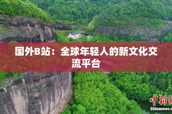 国外B站：全球年轻人的新文化交流平台