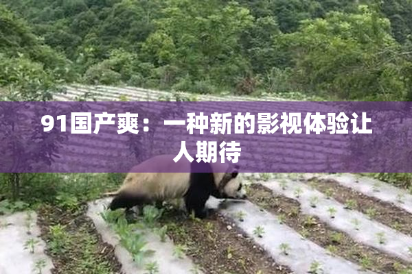 91国产爽：一种新的影视体验让人期待