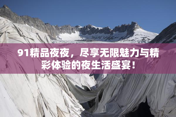 91精品夜夜，尽享无限魅力与精彩体验的夜生活盛宴！