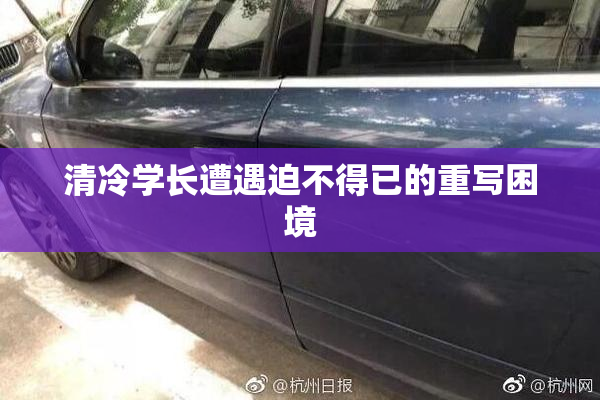 清冷学长遭遇迫不得已的重写困境