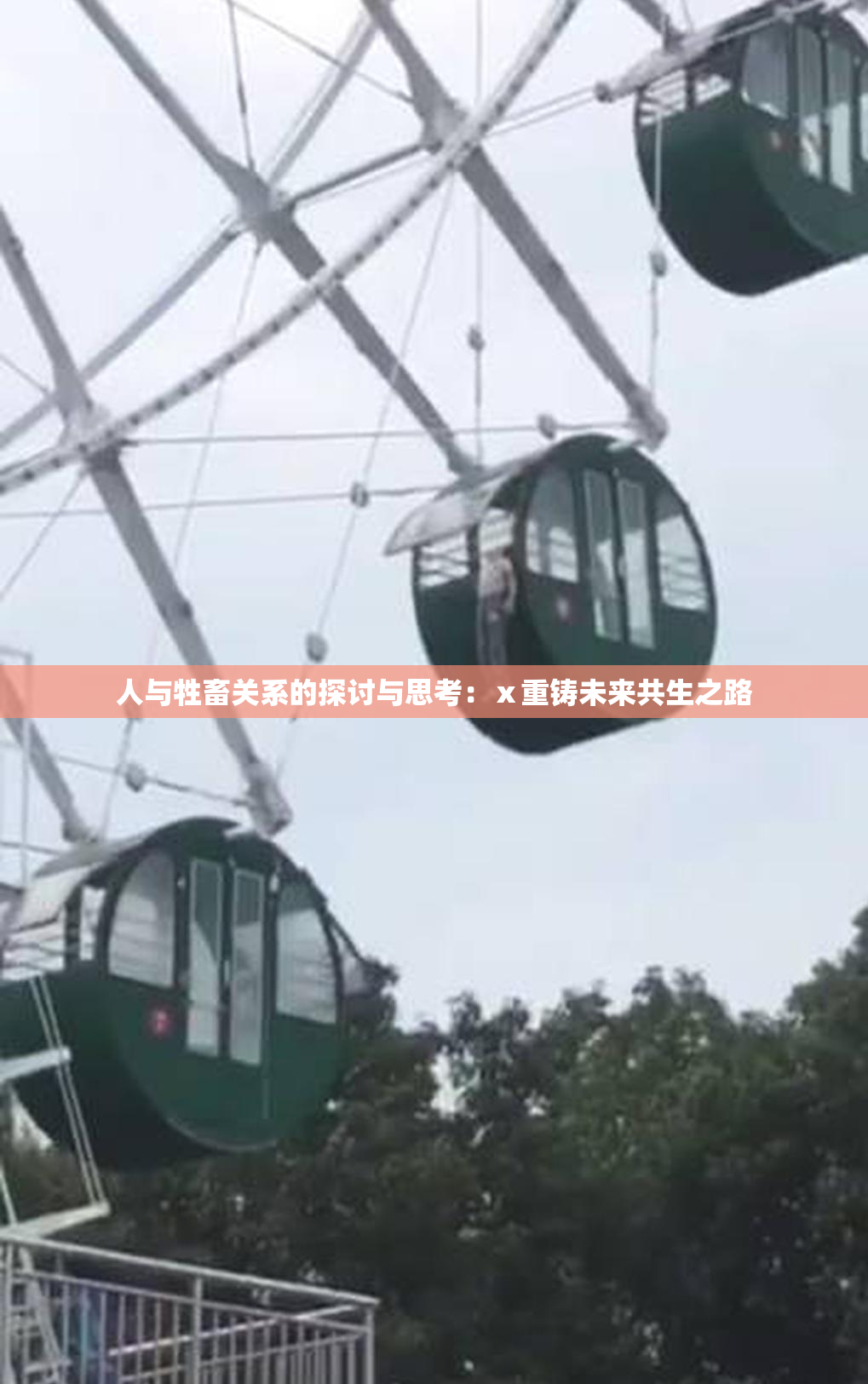 人与牲畜关系的探讨与思考：ⅹ重铸未来共生之路