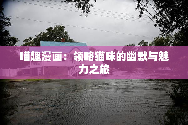喵趣漫画：领略猫咪的幽默与魅力之旅