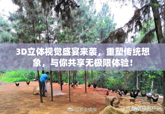 3D立体视觉盛宴来袭，重塑传统想象，与你共享无极限体验！