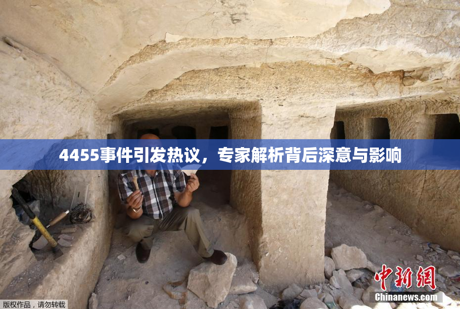 4455事件引发热议，专家解析背后深意与影响