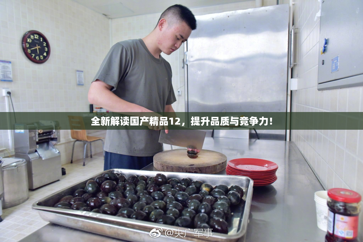 全新解读国产精品12，提升品质与竞争力！