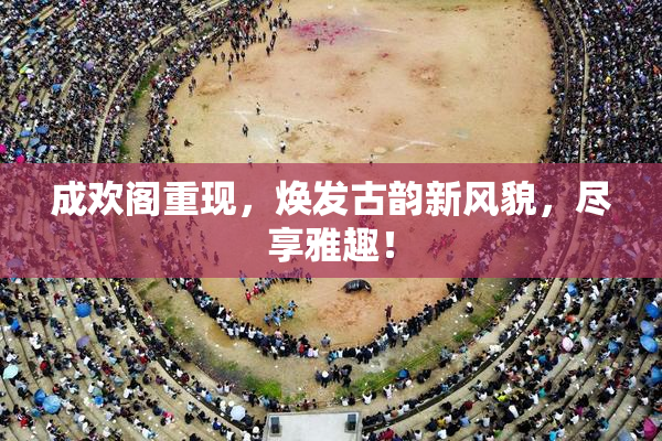 成欢阁重现，焕发古韵新风貌，尽享雅趣！
