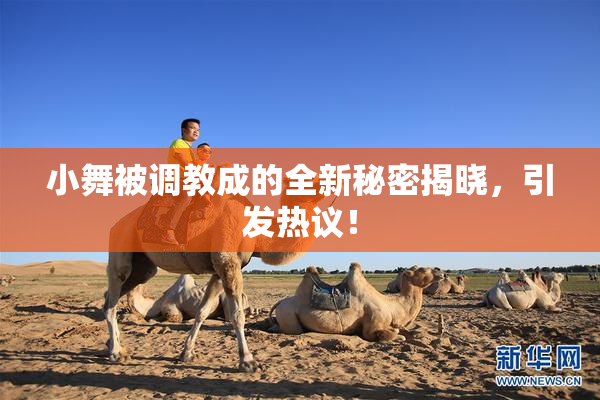 小舞被调教成的全新秘密揭晓，引发热议！