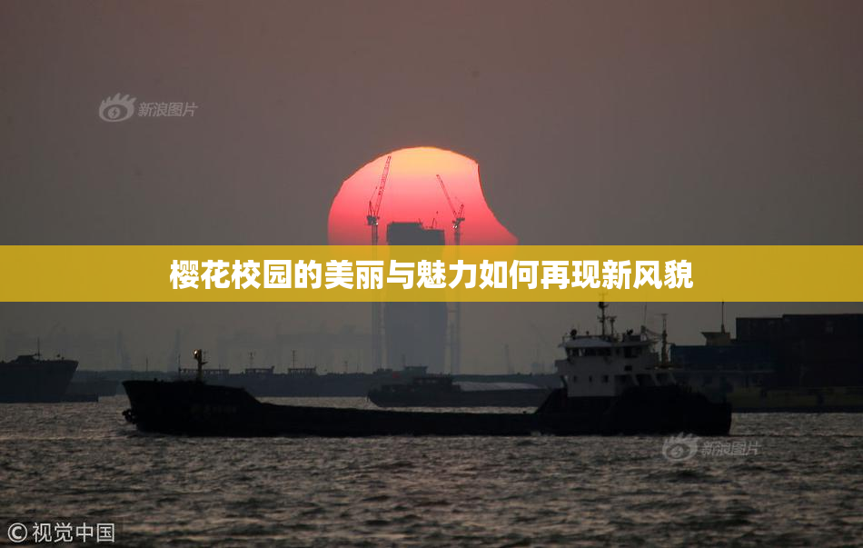 樱花校园的美丽与魅力如何再现新风貌