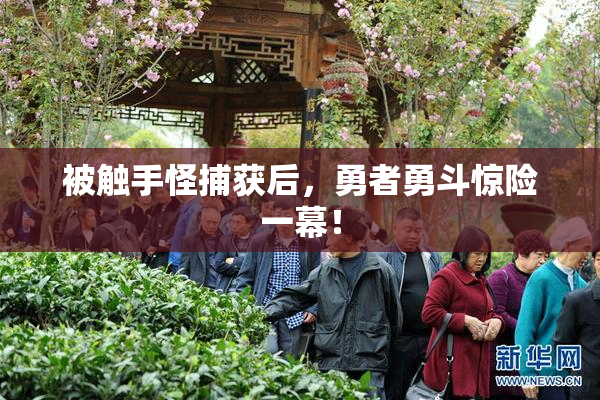 被触手怪捕获后，勇者勇斗惊险一幕！