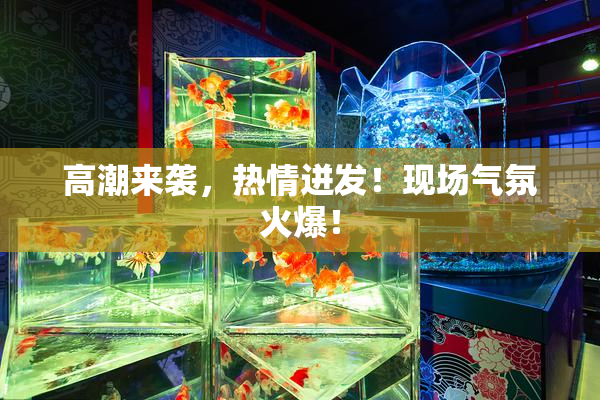 高潮来袭，热情迸发！现场气氛火爆！