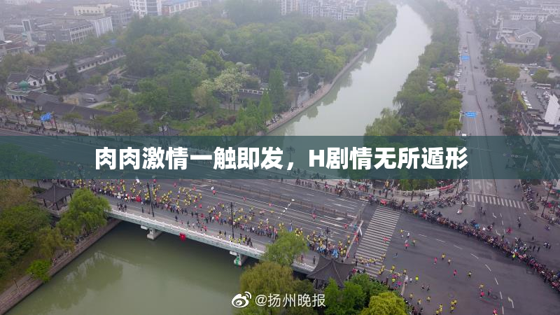 肉肉激情一触即发，H剧情无所遁形