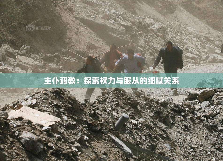 主仆调教：探索权力与服从的细腻关系