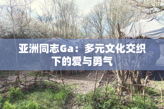 亚洲同志Ga：多元文化交织下的爱与勇气