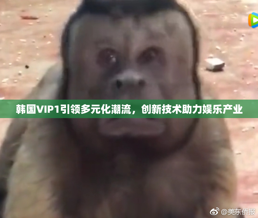 韩国VIP1引领多元化潮流，创新技术助力娱乐产业