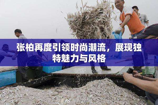张柏再度引领时尚潮流，展现独特魅力与风格
