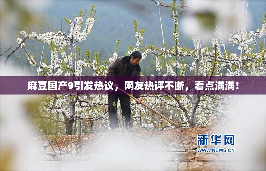 麻豆国产9引发热议，网友热评不断，看点满满！