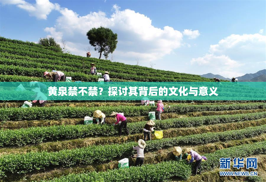 黄泉禁不禁？探讨其背后的文化与意义
