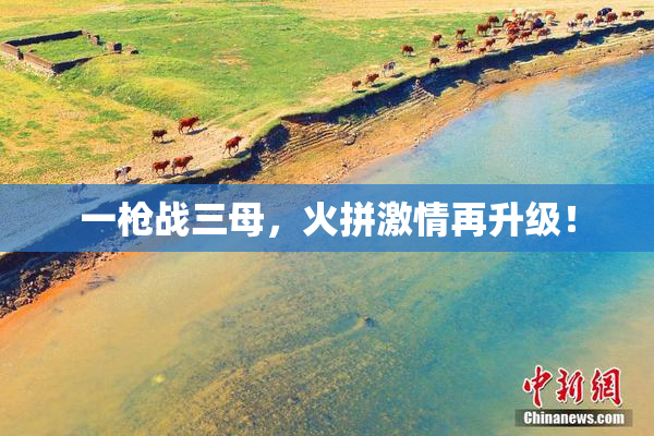 一枪战三母，火拼激情再升级！