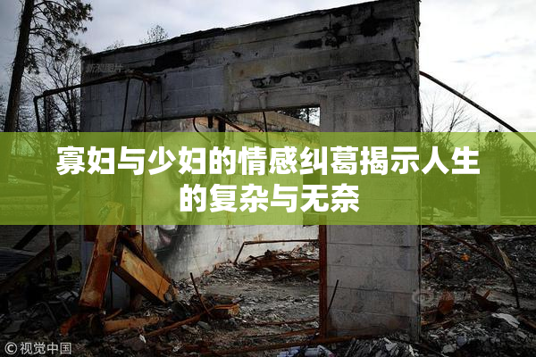 寡妇与少妇的情感纠葛揭示人生的复杂与无奈