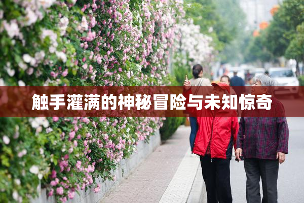 触手灌满的神秘冒险与未知惊奇