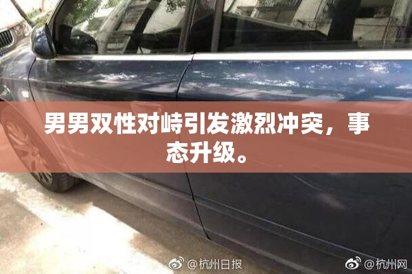 男男双性对峙引发激烈冲突，事态升级。