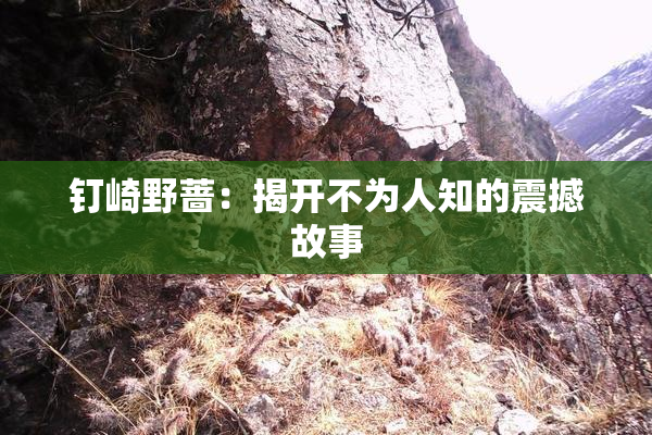 钉崎野蔷：揭开不为人知的震撼故事