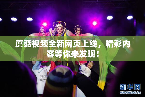 蘑菇视频全新网页上线，精彩内容等你来发现！