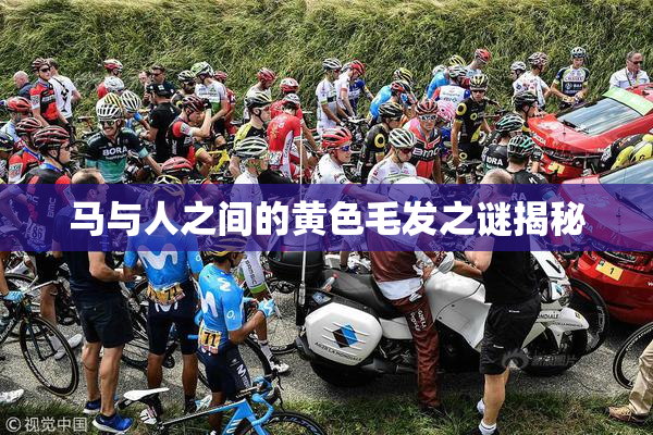 马与人之间的黄色毛发之谜揭秘