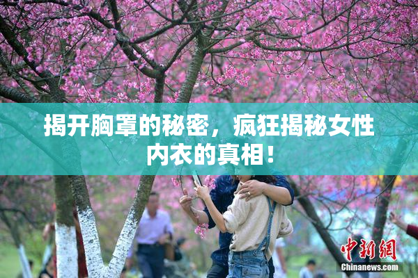 揭开胸罩的秘密，疯狂揭秘女性内衣的真相！