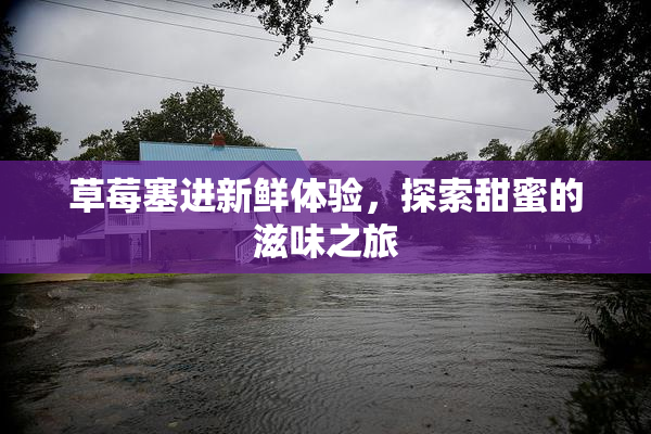 草莓塞进新鲜体验，探索甜蜜的滋味之旅