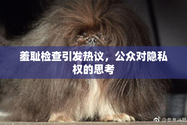 羞耻检查引发热议，公众对隐私权的思考