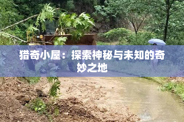 猎奇小屋：探索神秘与未知的奇妙之地