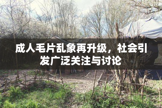 成人毛片乱象再升级，社会引发广泛关注与讨论