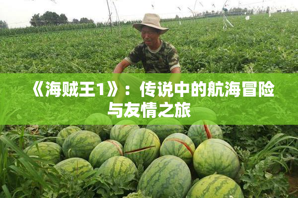 《海贼王1》：传说中的航海冒险与友情之旅