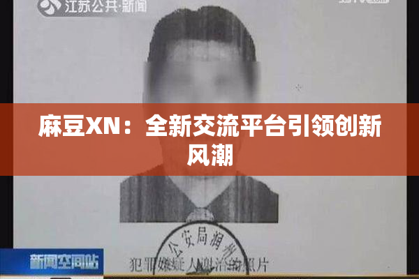 麻豆XN：全新交流平台引领创新风潮
