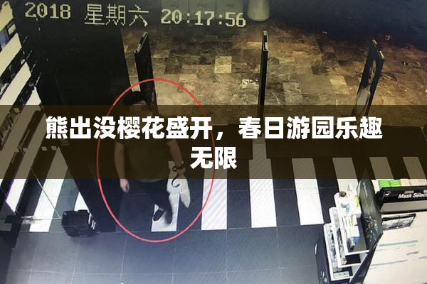 熊出没樱花盛开，春日游园乐趣无限