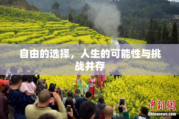 自由的选择，人生的可能性与挑战并存