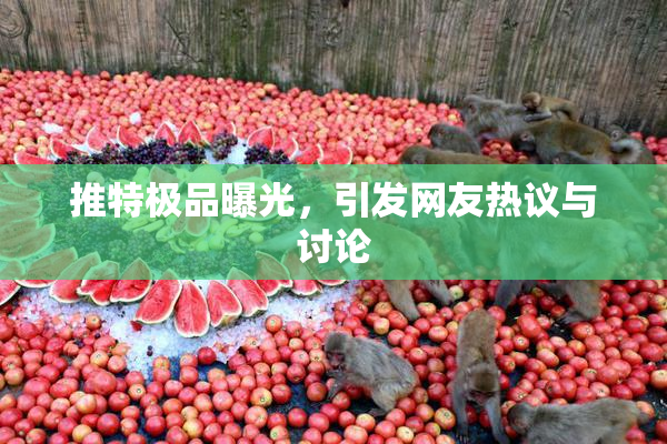 推特极品曝光，引发网友热议与讨论