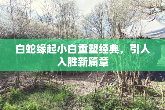 白蛇缘起小白重塑经典，引人入胜新篇章