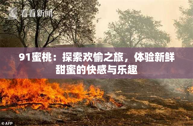 91蜜桃：探索欢愉之旅，体验新鲜甜蜜的快感与乐趣