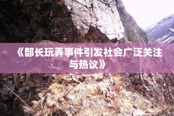 《部长玩弄事件引发社会广泛关注与热议》
