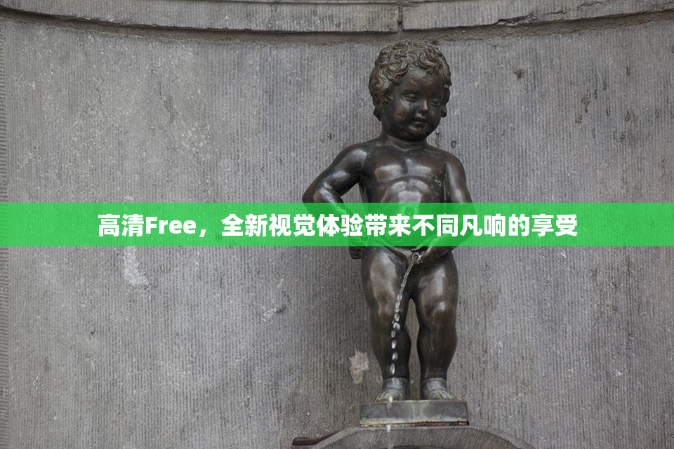 高清Free，全新视觉体验带来不同凡响的享受