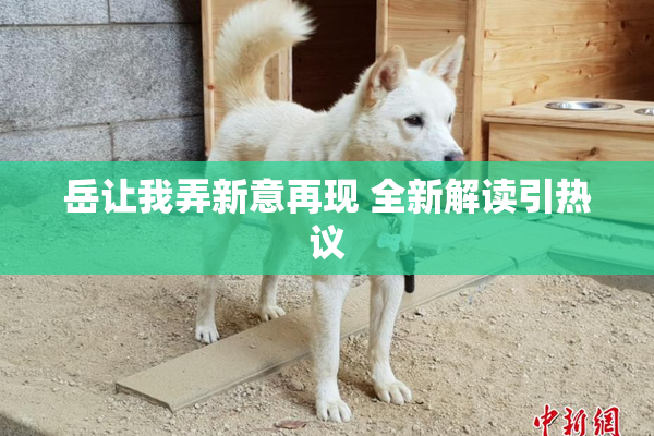 岳让我弄新意再现 全新解读引热议