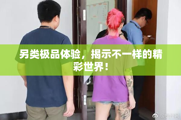 另类极品体验，揭示不一样的精彩世界！