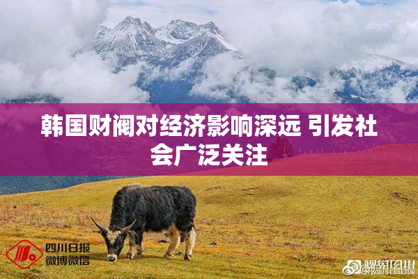 韩国财阀对经济影响深远 引发社会广泛关注