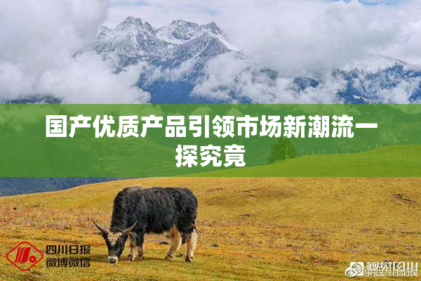 国产优质产品引领市场新潮流一探究竟