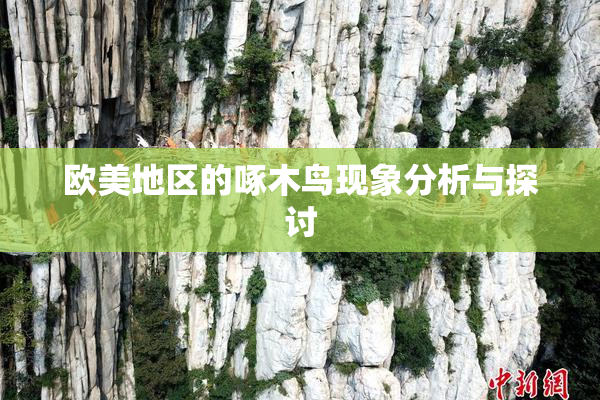 欧美地区的啄木鸟现象分析与探讨