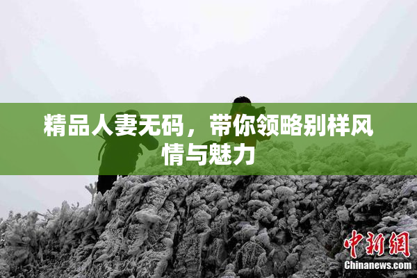 精品人妻无码，带你领略别样风情与魅力